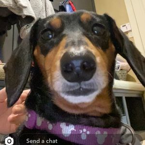 Meet your Posher, Alexis